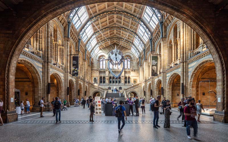 natural-history-museum