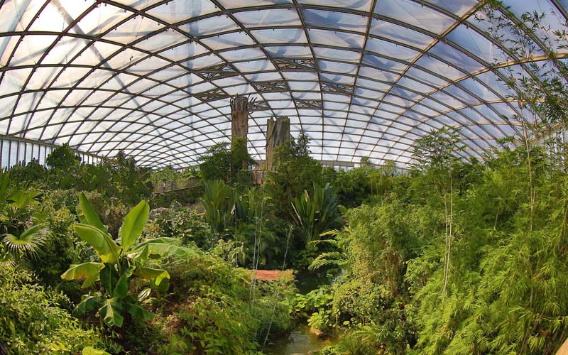 Gondwanaland