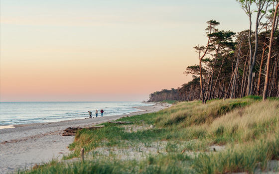 Weststrand auf Fischland-Darß-Zingst