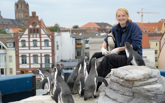 Anne May bei Pinguin Fütterung