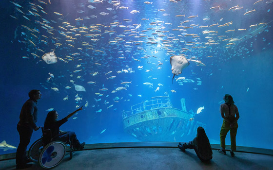 OZEANEUM, Offener Atlantik